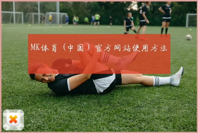 MK体育 (中国)官方网站使用方法