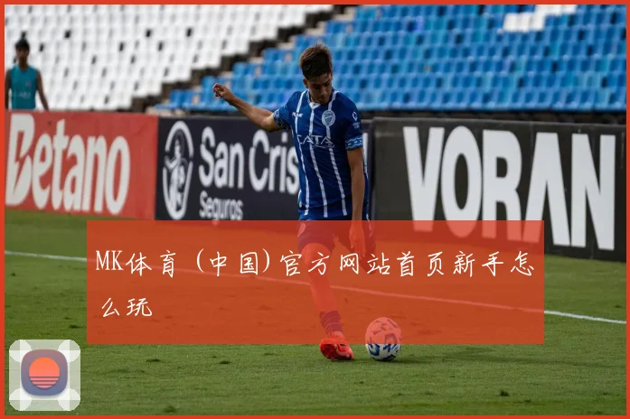 MK体育 (中国)官方网站首页新手怎么玩